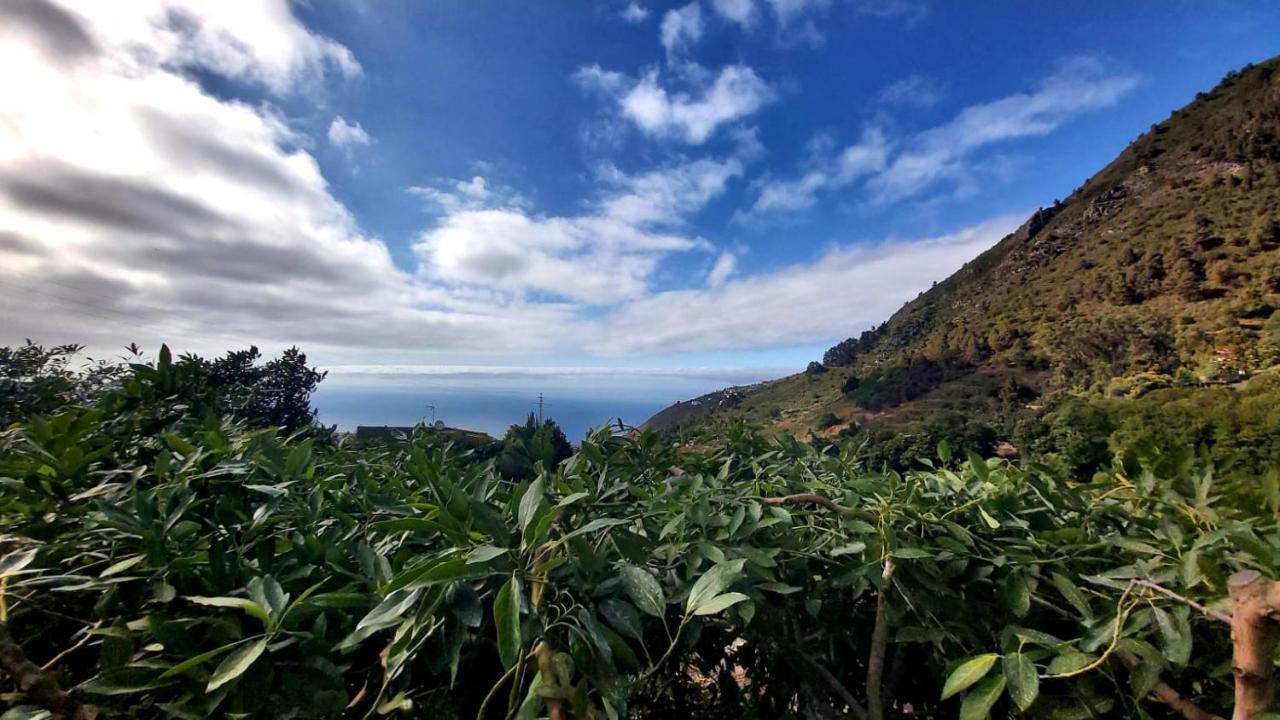 Casa Rural La Resbala - Casa Tajinaste La Orotava Kültér fotó